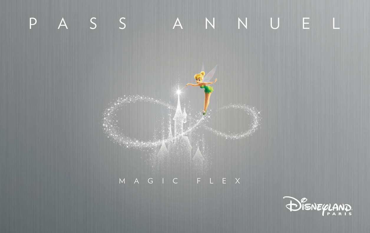 Pass Annuel Magic Flex