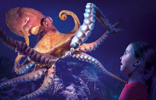 SeaLife
