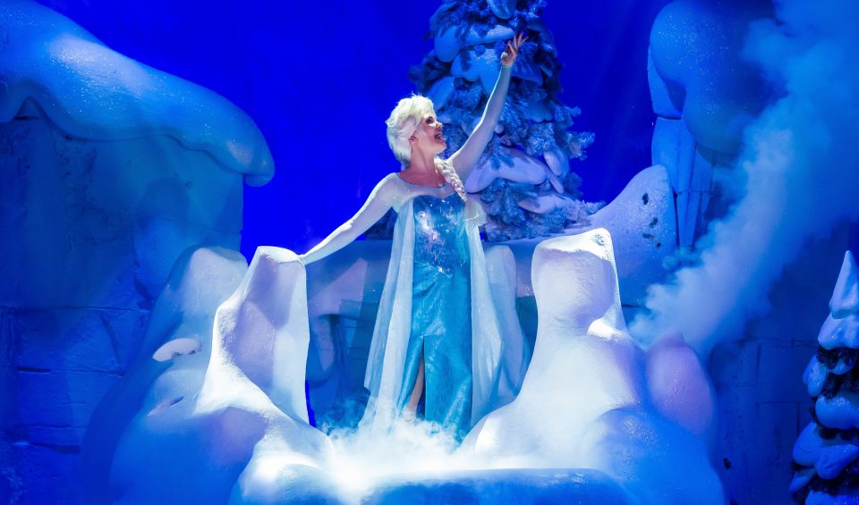 La Reine des Neiges Animation Celebration