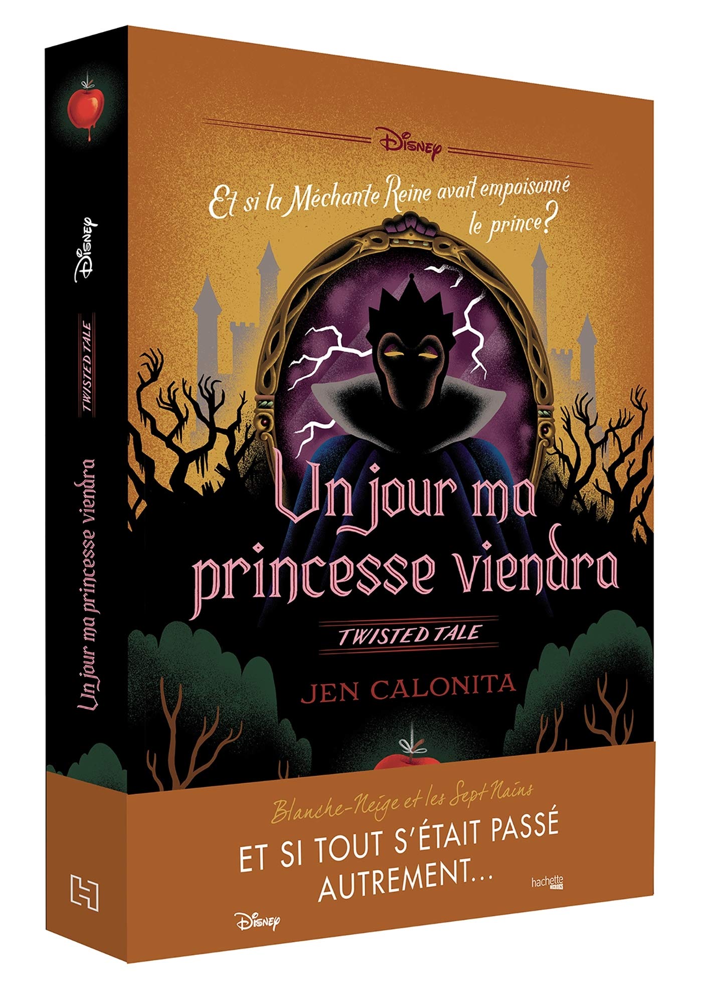 hachette heroes un jour ma princesse viendra