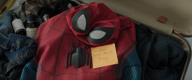 Peter Parker Bag