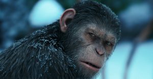 la planète des singes reboot