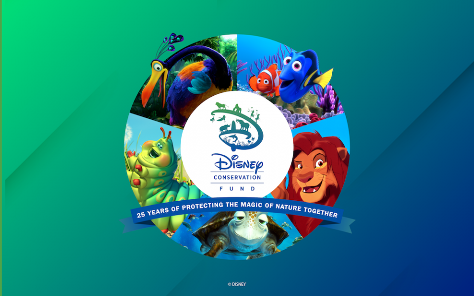 disney conservation fund 25 ans