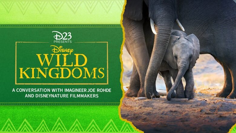 disney wild kingdoms