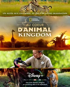 au coeur d'animal kingdom