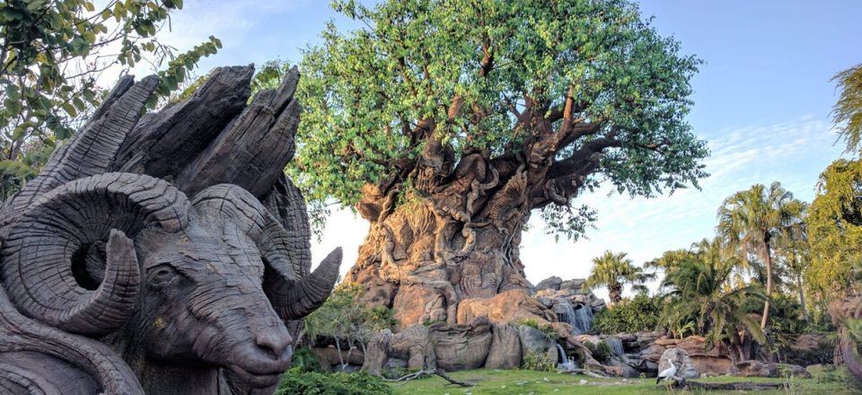 disney's animal kingdom