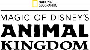 the-magic-of-disneys-animal-kingdom