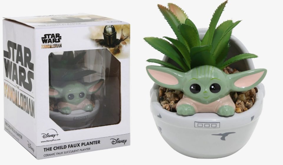 jardiniere succulente bebe yoda