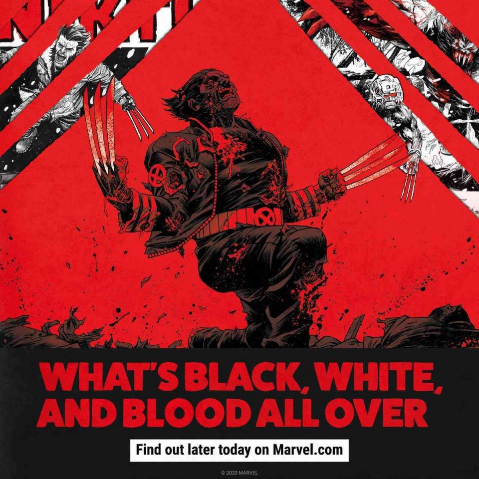 wolverine-black-white-red