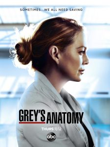 grey's-anatomy-saison17