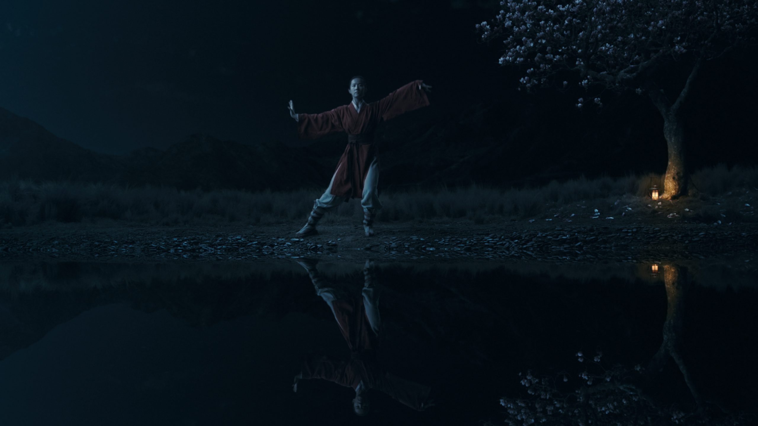 mulan critique