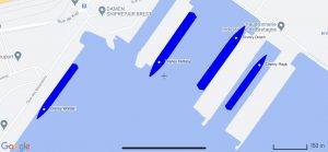 disney cruise line