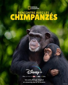 rencontre-avec-les-chimpanzes
