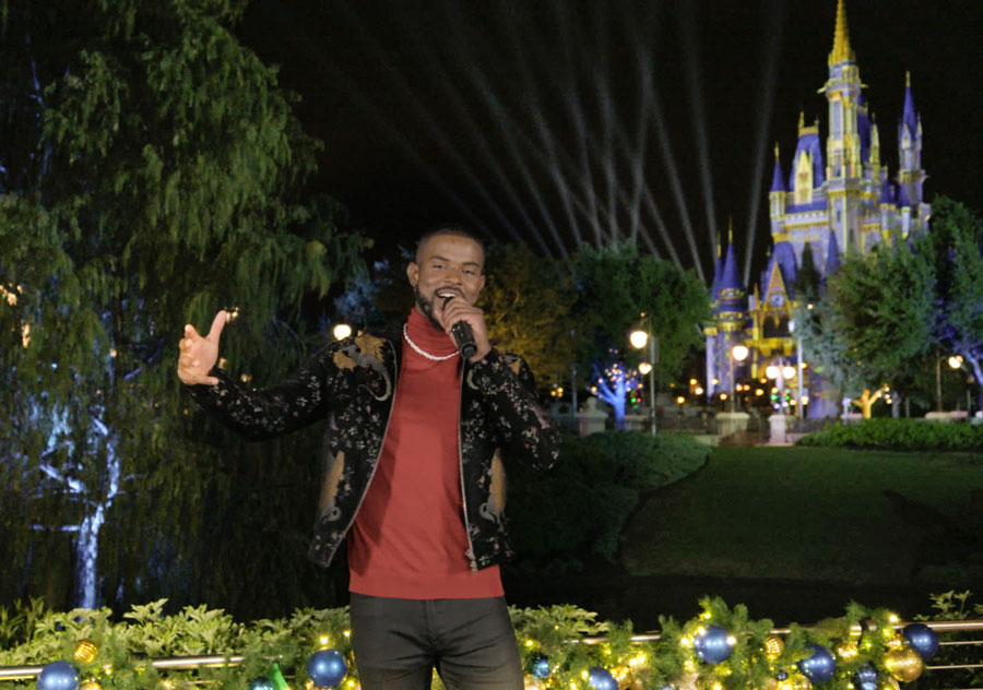 The Wonderful World Of Disney: Magical Holiday Celebration
