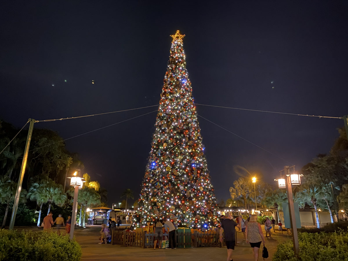 animal kingdom