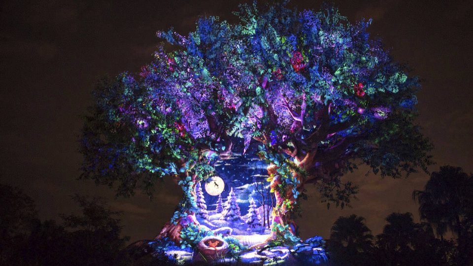 tree of life awakenings
