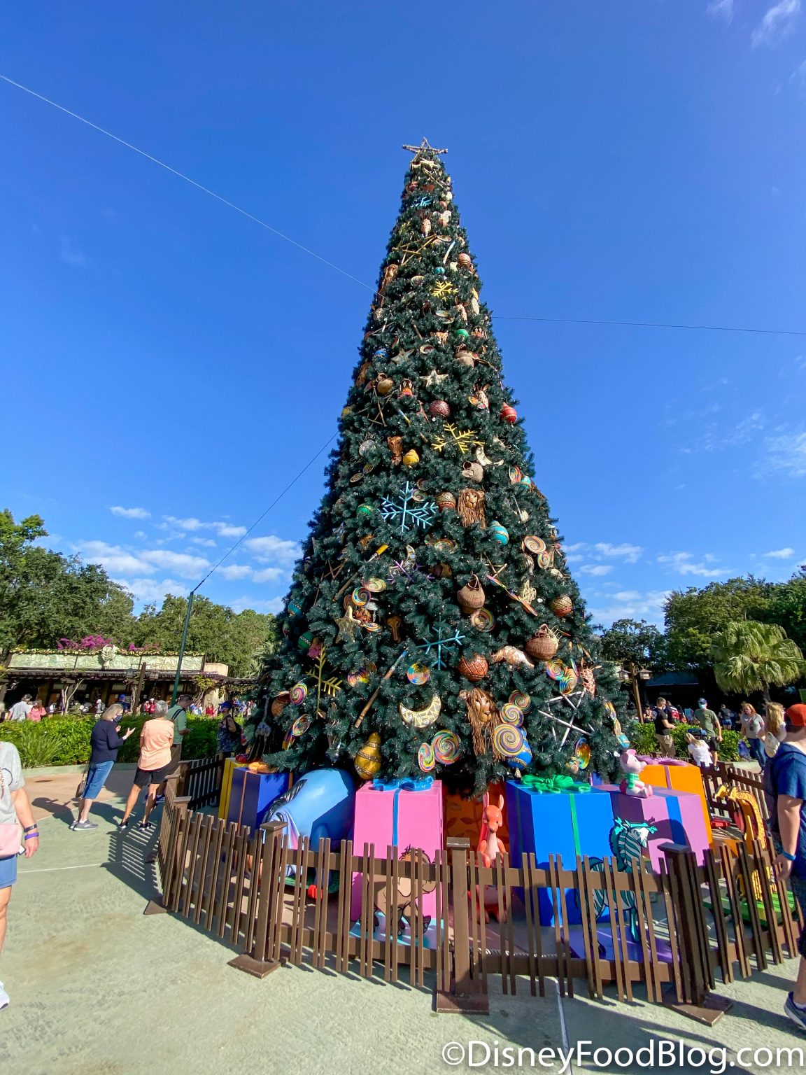 animal kingdom
