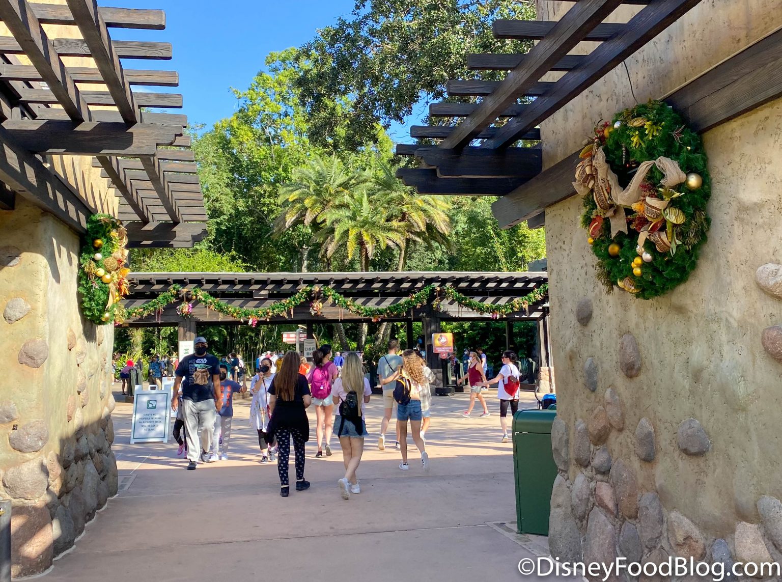 animal kingdom