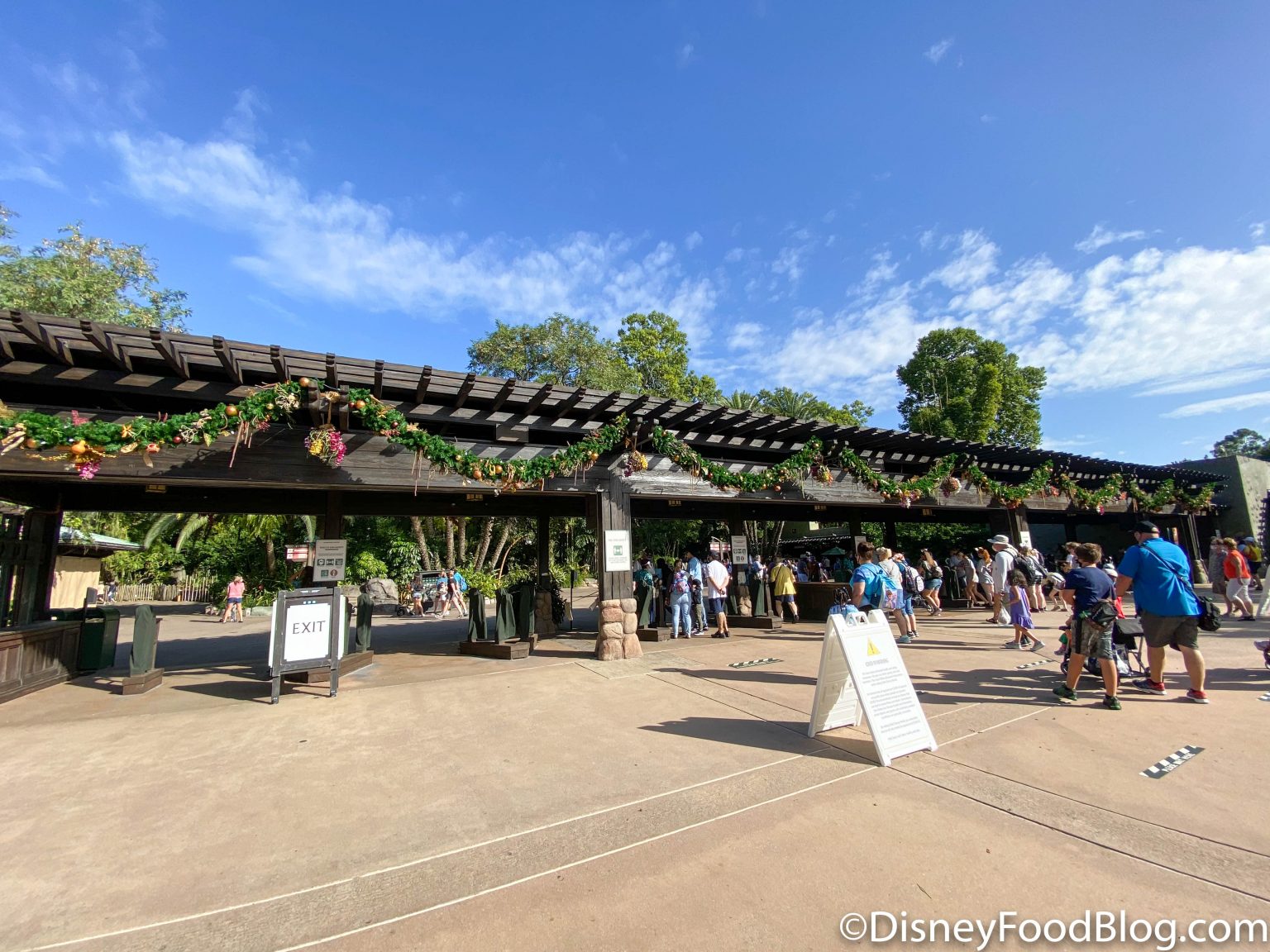 animal kingdom