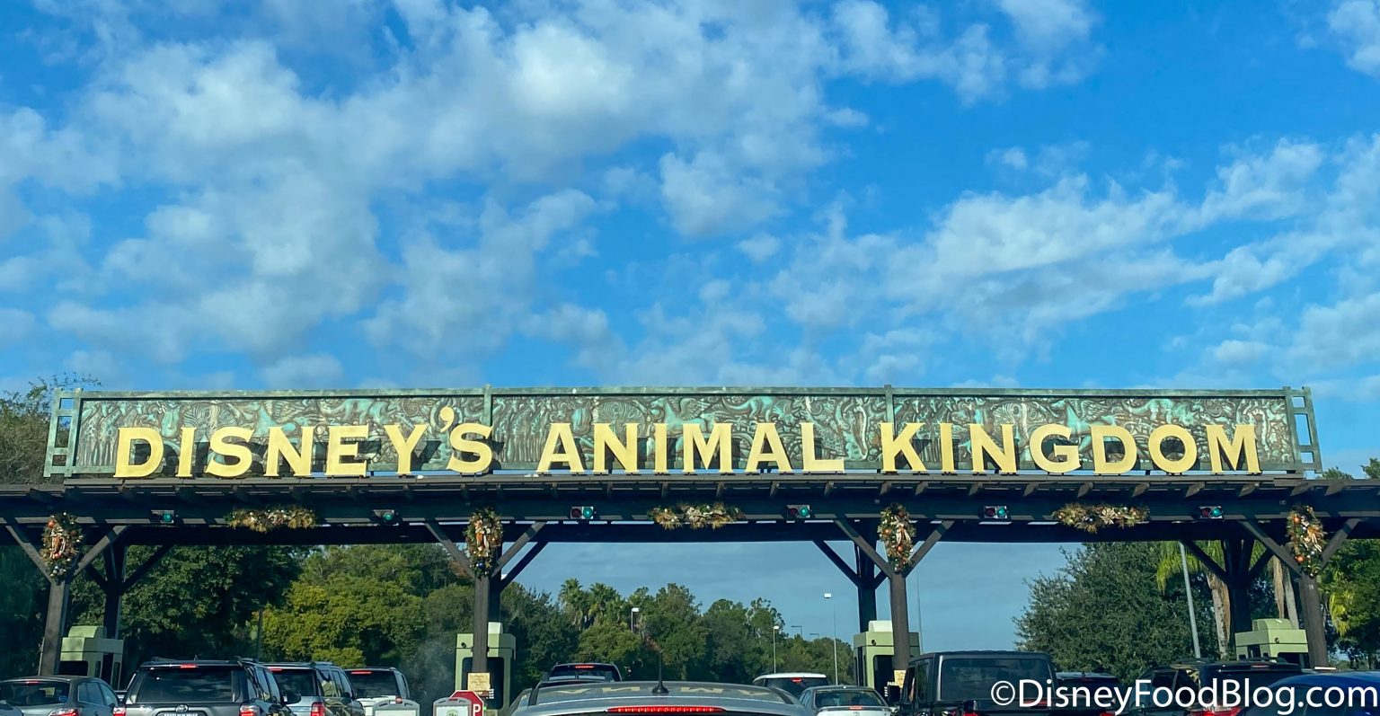 animal kingdom