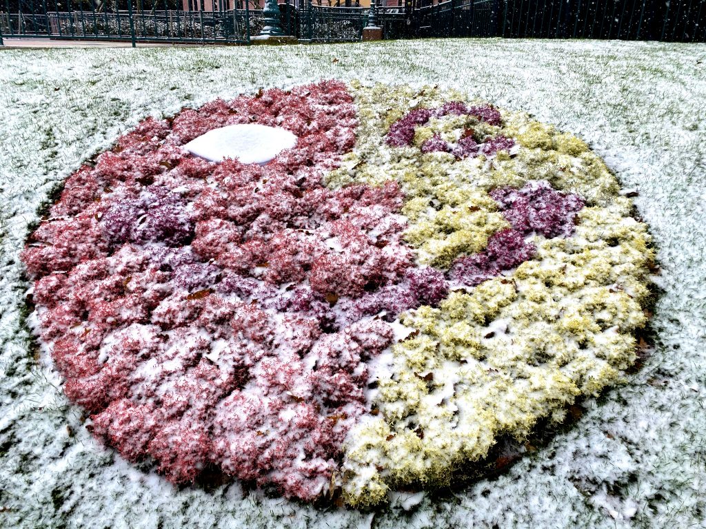 disneyland paris neige