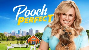 pooch perfect