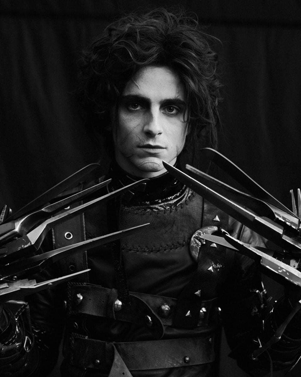 timothée chalamet