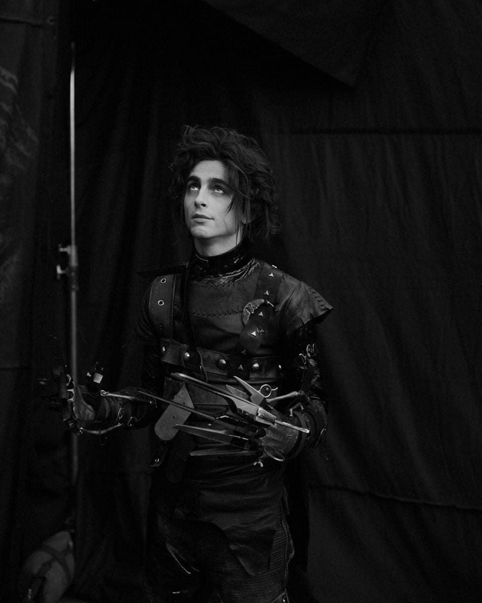 timothée chalamet