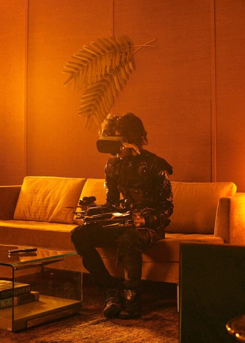 timothée chalamet