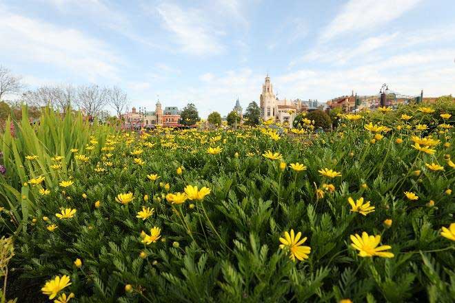 shanghai disneyland printemps