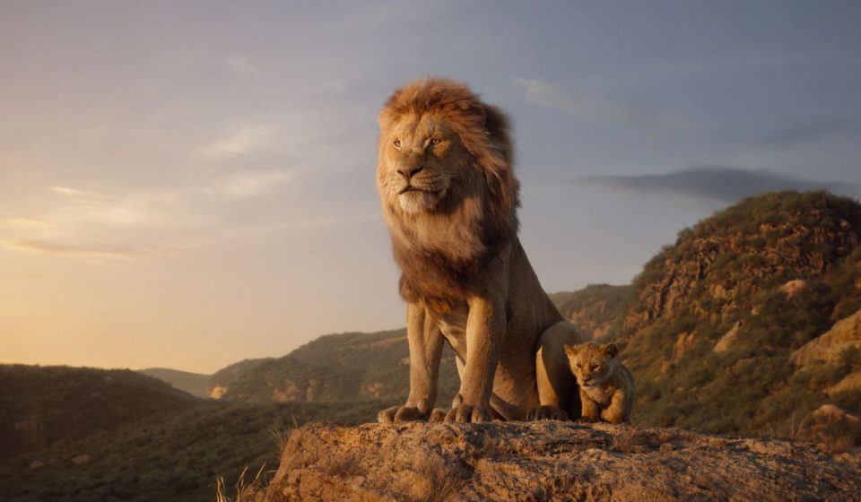 préquelle roi lion