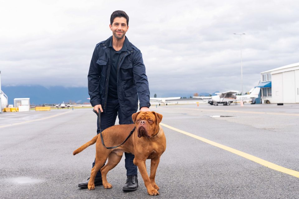 turner & hooch