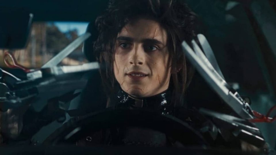 timothée chalamet