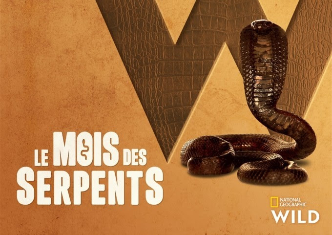 le-mois-des-serpents