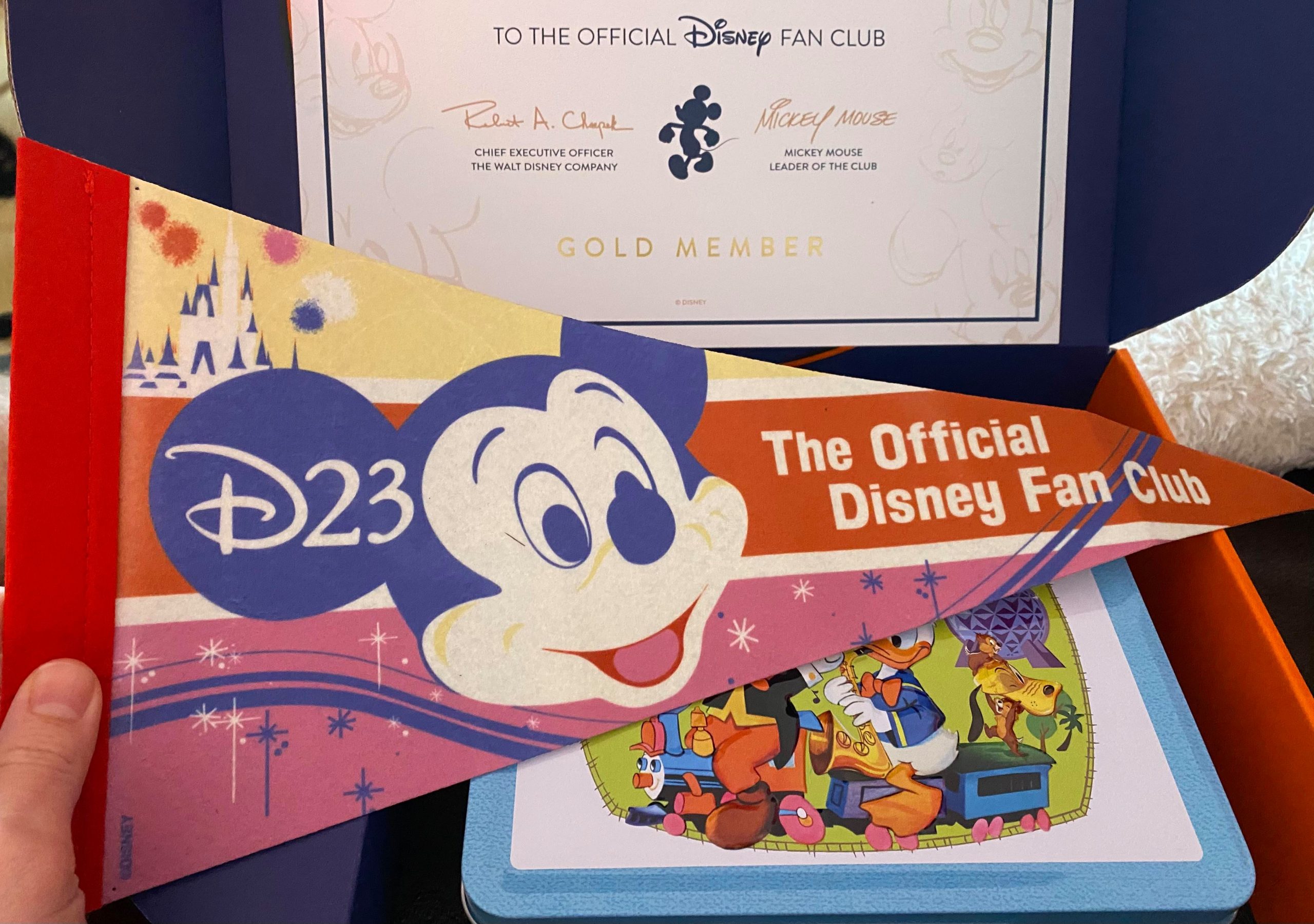 d23 2021