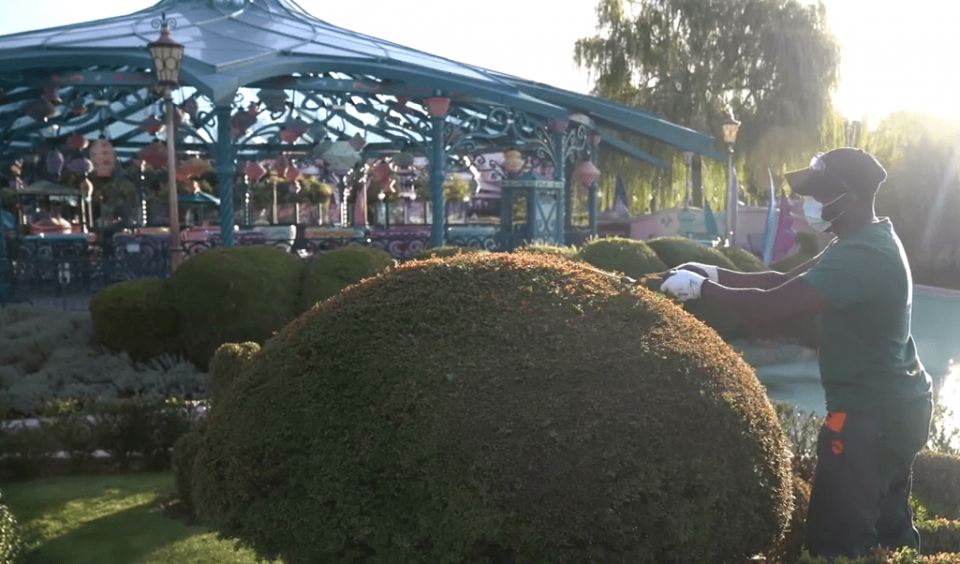 biodiversité disneyland