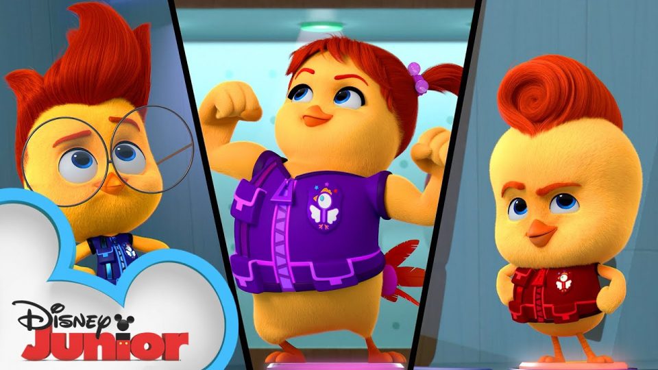 the chicken squad