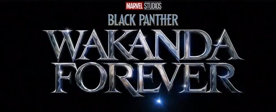 black panther wakanda forever