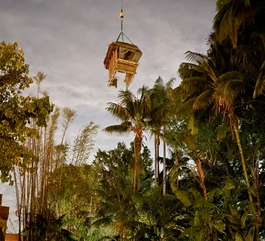 jungle cruise 16 juillet disneyland