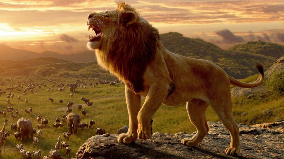 jeunes mufasa scar