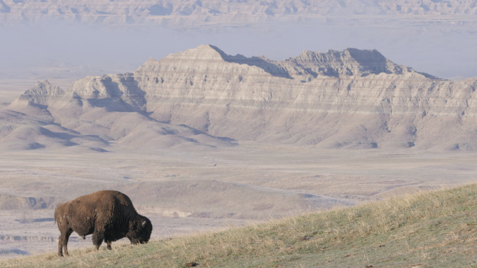 national parks