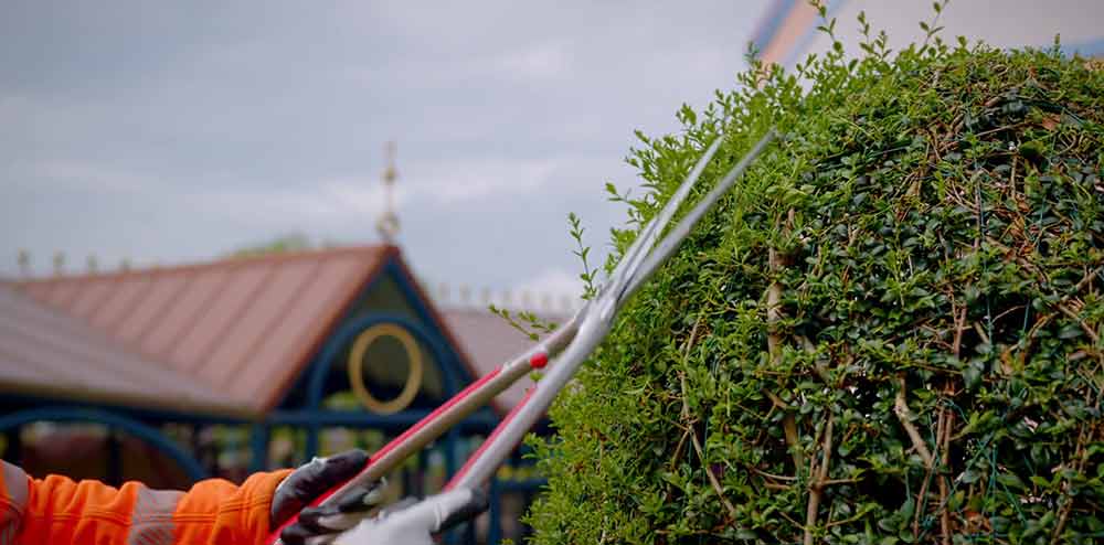 nature disneyland paris réouverture