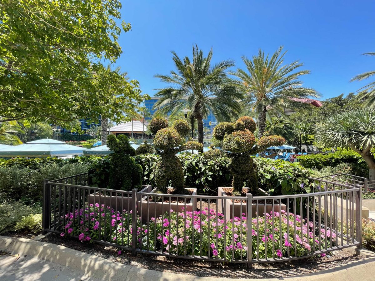 disneyland hotel californie