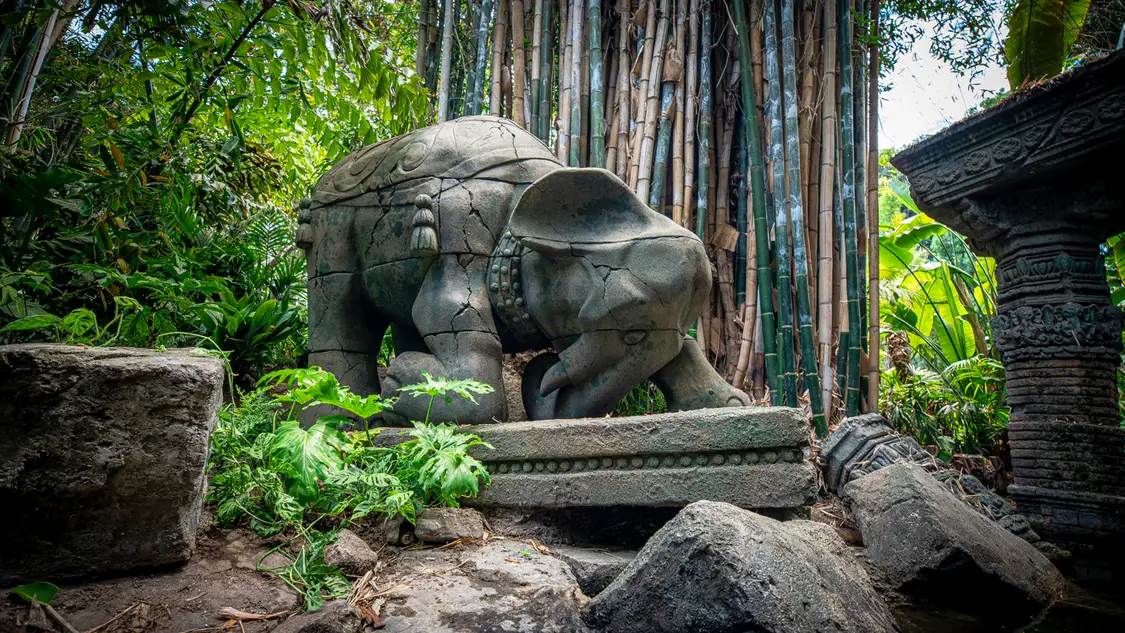 jungle cruise disneyland