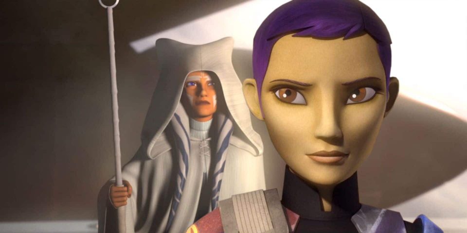 sabine wren