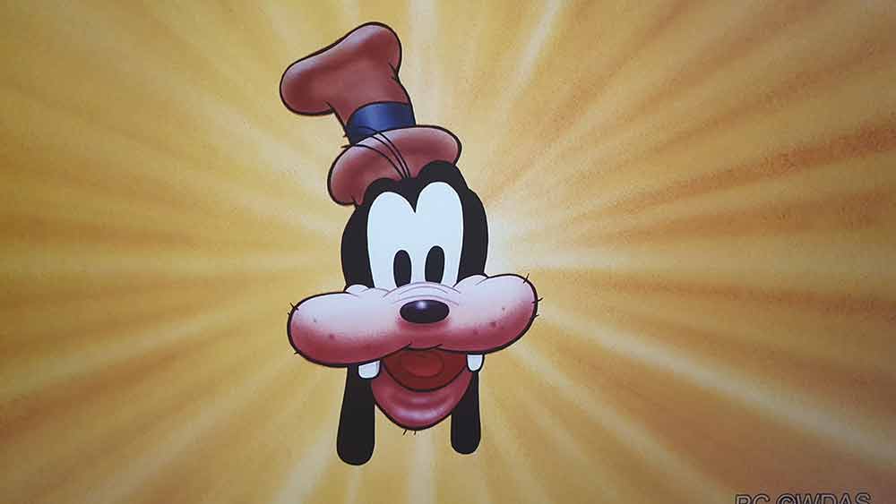 eric goldberg dingo