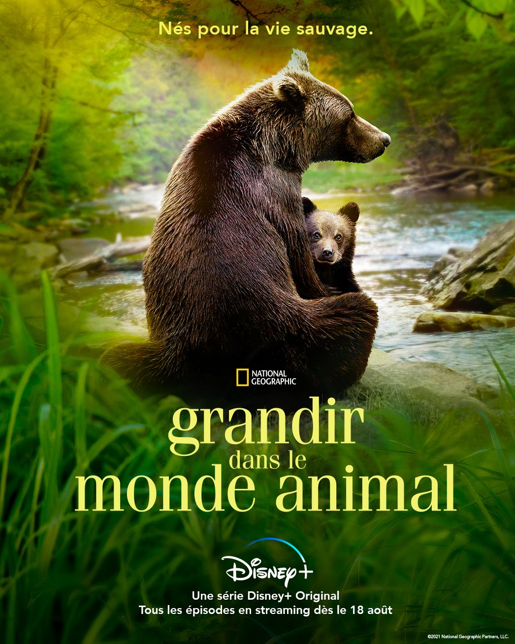 grandir dans le monde animal