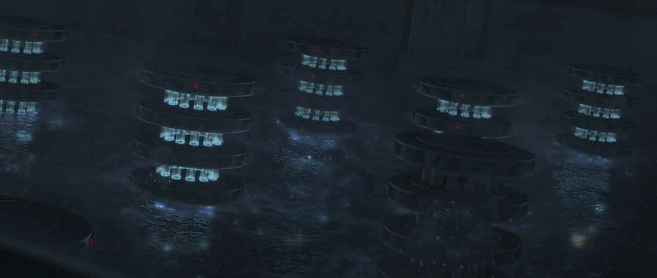 la perte de kamino