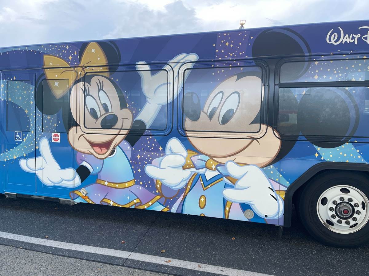bus 50 wdw