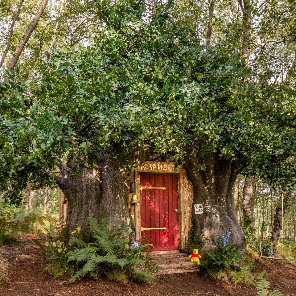 winnie airbnb